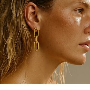 Elegant Gold Link Earrings